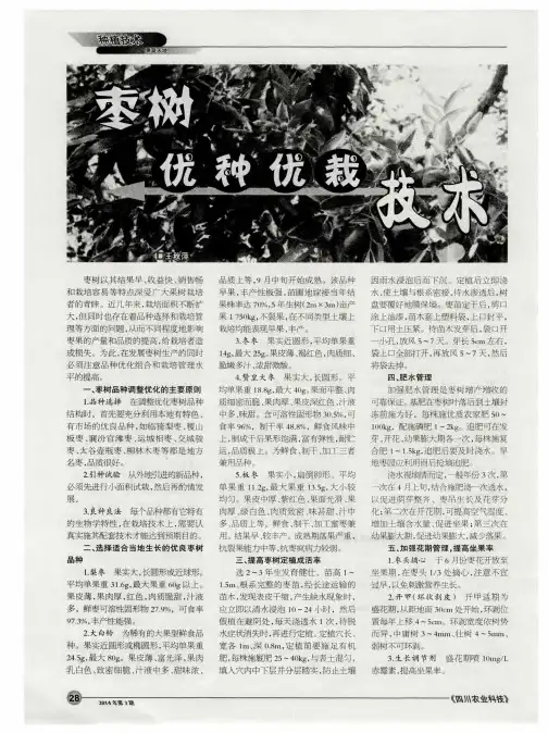 枣树优种优栽技术
