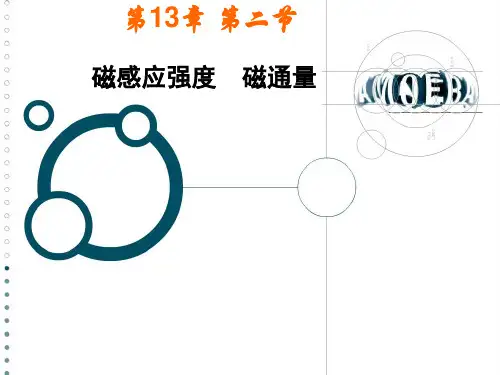 高中物理选修13.2磁感应强度和磁通量