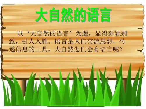 大自然的语言