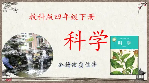 教科版科学四年级下册全册课件
