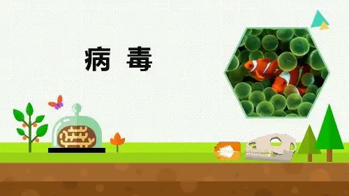 最新青岛版科学六年级上册《病毒》优质课件