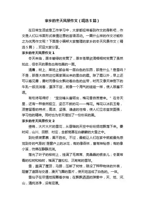 家乡的冬天风景作文（精选5篇）