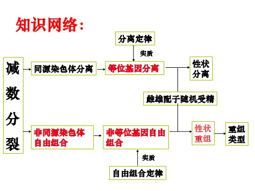 高中生物必修二1.1《孟德尔的豌豆杂交实验(一)》