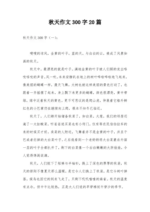 秋天作文300字20篇