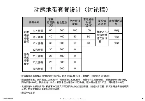 波士顿-武汉移动—M-ZONE动感地带套餐设计