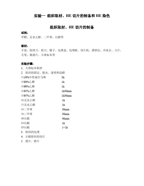 HE染色 3