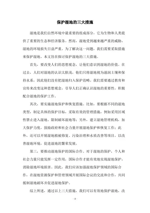 保护湿地的三大措施