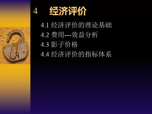 经济评价与效益分析(ppt 73页)