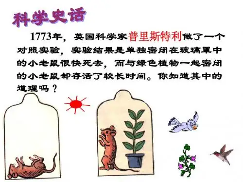 3.6光合作用1