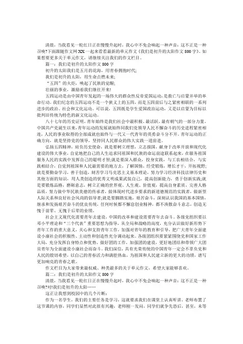 我们是初升的太阳作文800字-我们是初升的太阳作文