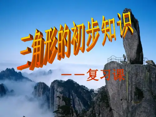 三角形的初步知识复习课