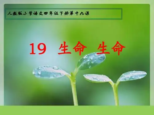 《生命 生命》PPT课件
