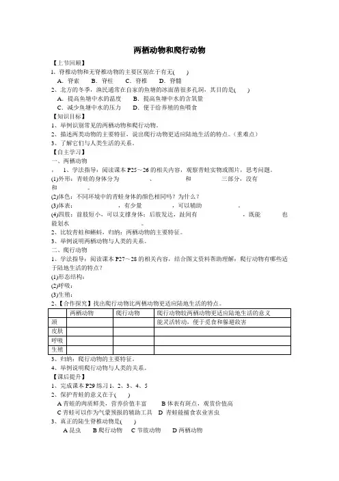 两栖动物和爬行动物 3