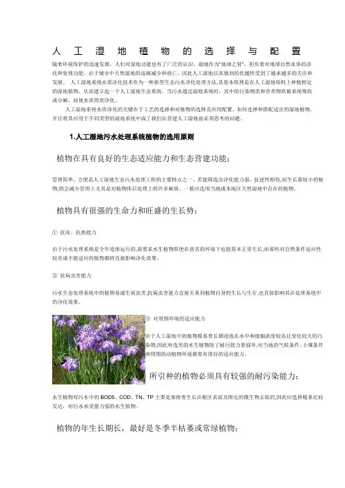 人工湿地植物的选择与配置