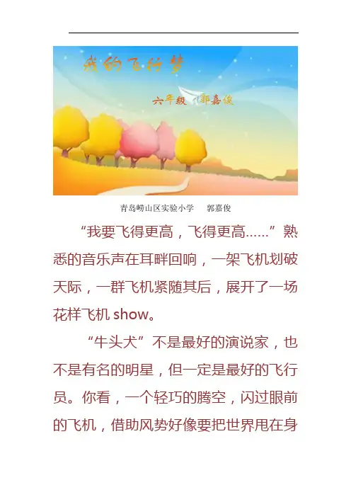 我的飞行梦