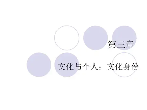 第三章文化身份解析