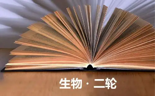 2019届二轮复习 专题六实验 课件(全国通用)