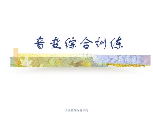 语流音变综合训练 ppt课件