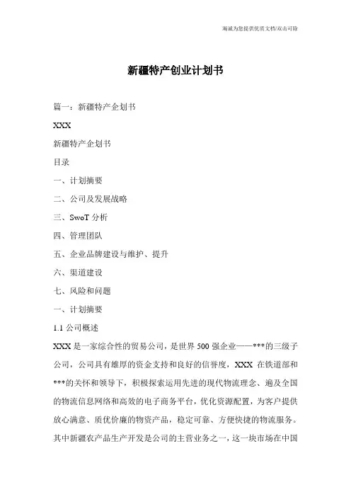 新疆特产创业计划书
