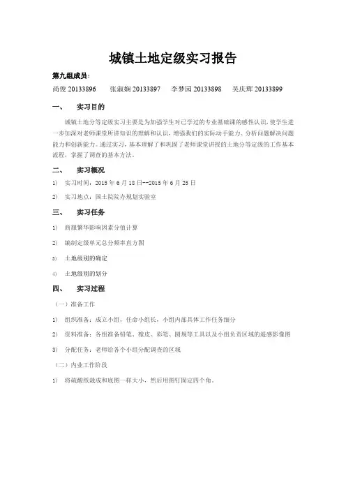 第九组-城镇土地定级实习报告