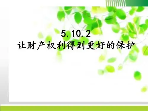 鲁人版《道德与法治》九年级上册10.2《让财产权利得到更好的保护》课件(39张PPT)