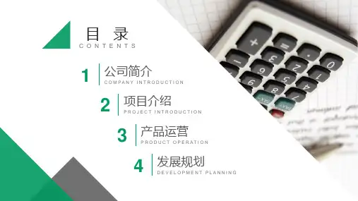 中国人寿保险公司工作汇报年终总结新年计划PPT