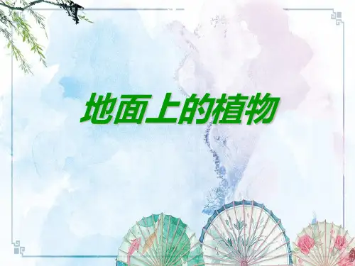 【苏科版初中生物 同课异构】七下《5.11第1节 地面上的植物》 (11)