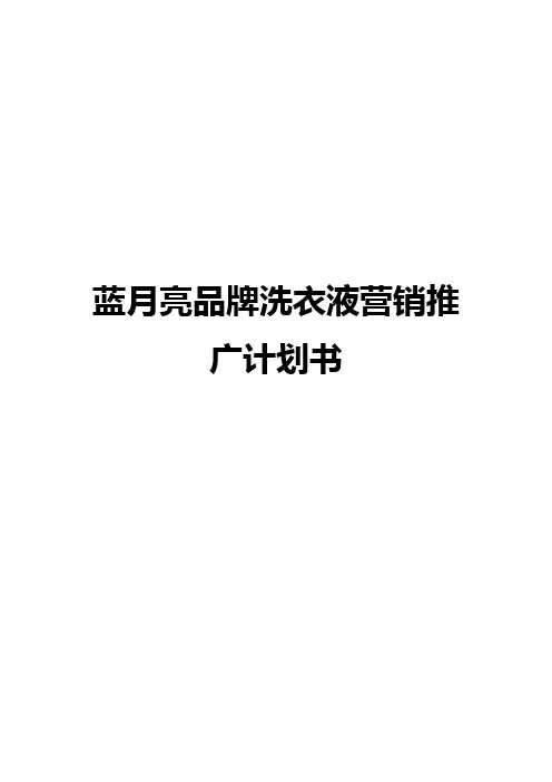 蓝月亮品牌洗衣液市场营销推广商业计划书