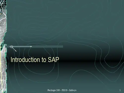 简介商务ppt模板之客户定位与营销战略sap-into