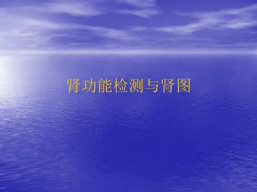 肾功能检测与肾图