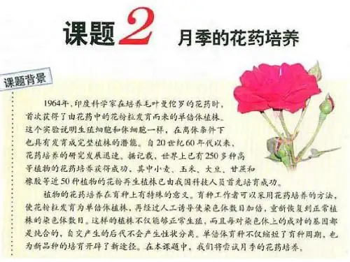 高二生物月季的花药培养(新201907)