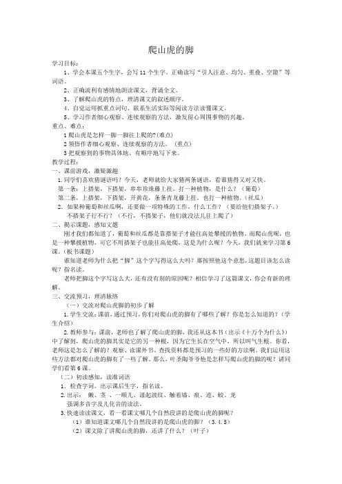 爬山虎的脚