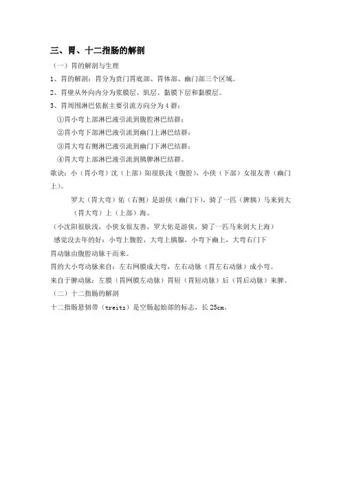 胃十二指肠解剖