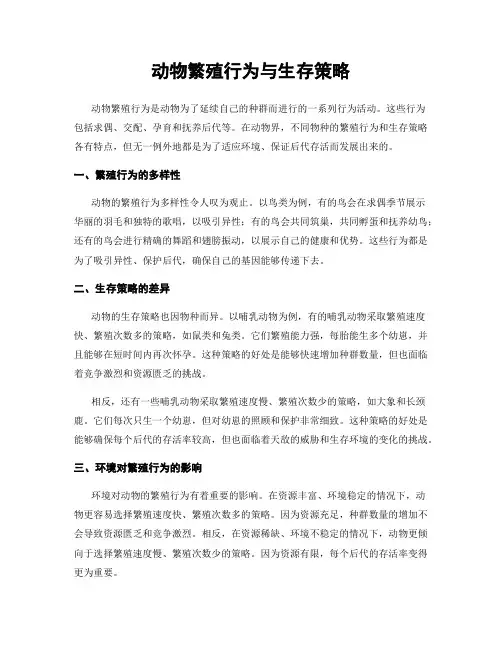 动物繁殖行为与生存策略