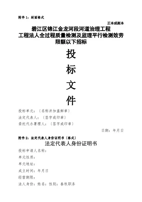 1封面格式(共10页)