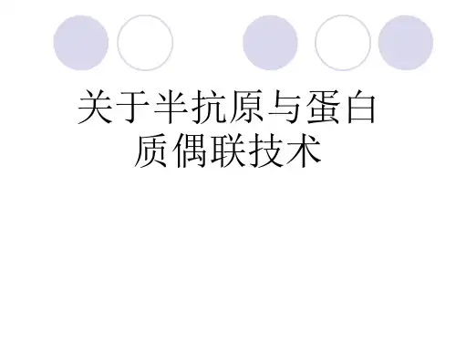 关于半抗原与蛋白质偶联技术课件