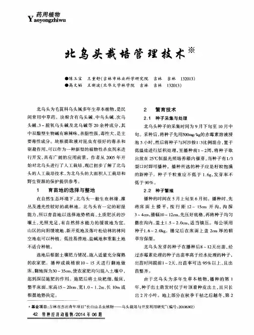 北乌头栽培管理技术
