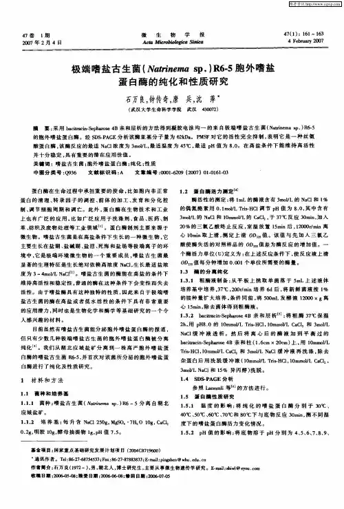 极端嗜盐古生菌(Natrinema sp.)R6-5胞外嗜盐蛋白酶的纯化和性质研究