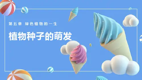 最新苏教版七年级生物上册《植物种子的萌发》教学课件