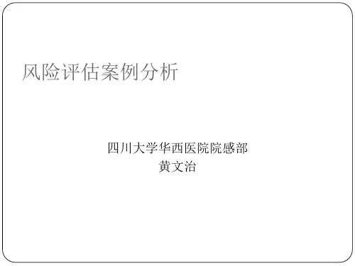 风险评估案例分析