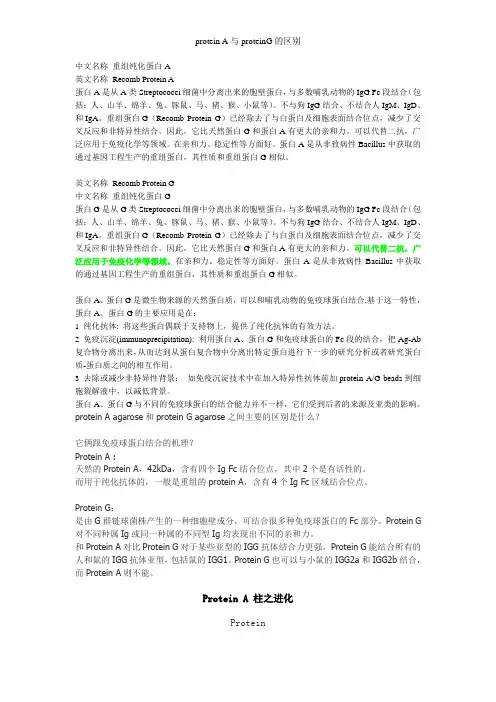 protein A与proteinG的区别