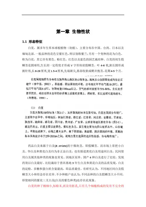 白芨