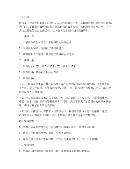 种植南瓜社会实践报告