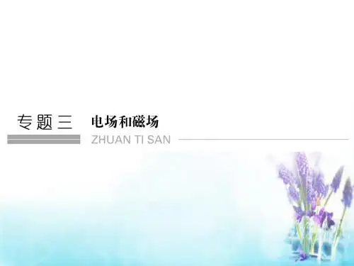 2016高考物理二轮复习 专题三 第7讲 电场和磁场的基本性质课件
