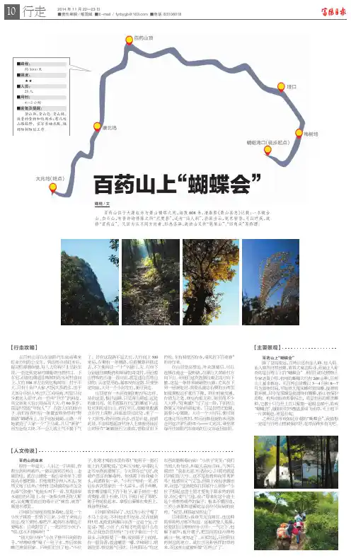 百药山上“蝴蝶会”