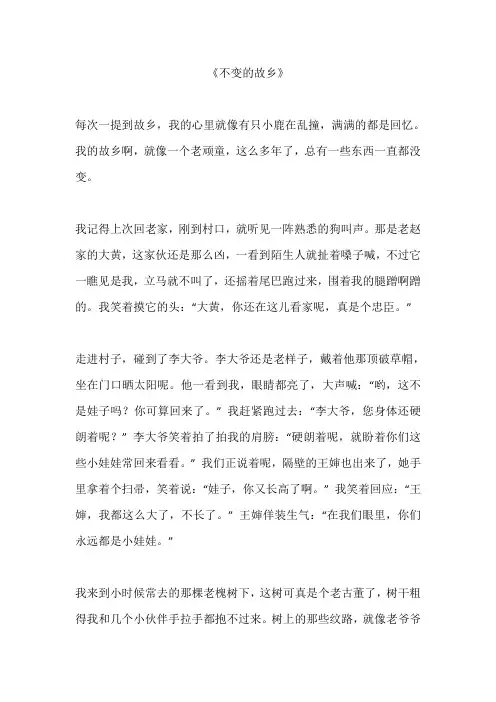 不变的故乡作文