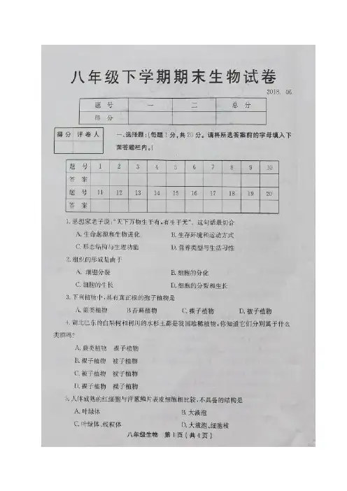 河南省新乡市2017-2018学年八年级下学期期末考试生物试题(图片版)