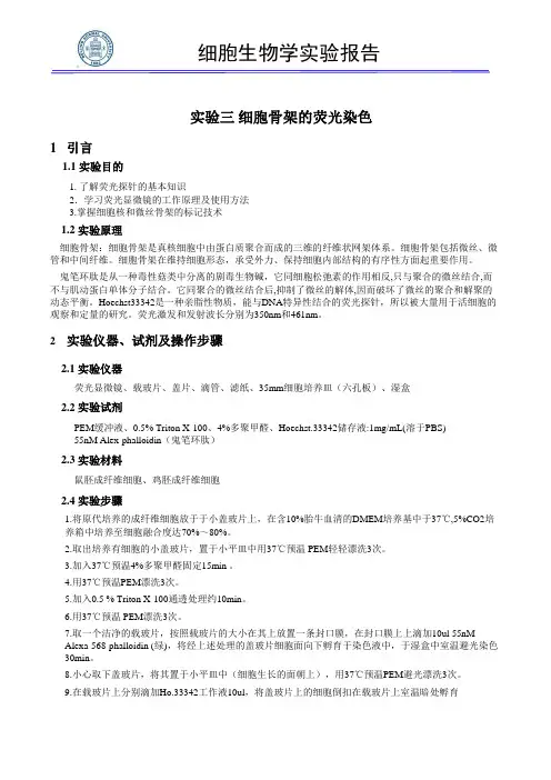 实验报告-细胞骨架的荧光观察