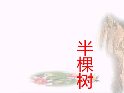 《半棵树》ppt课件
