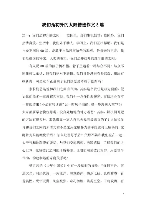 我们是初升的太阳精选作文3篇